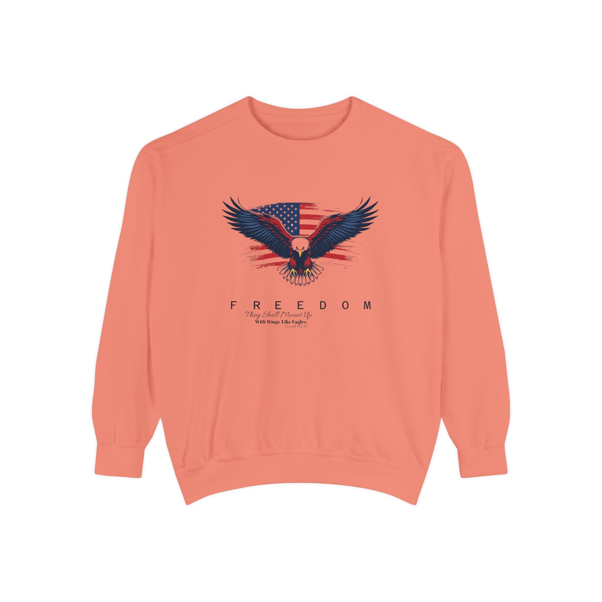 Freedom Eagle Sweatshirt Faith Apparel Inspirational Gift
