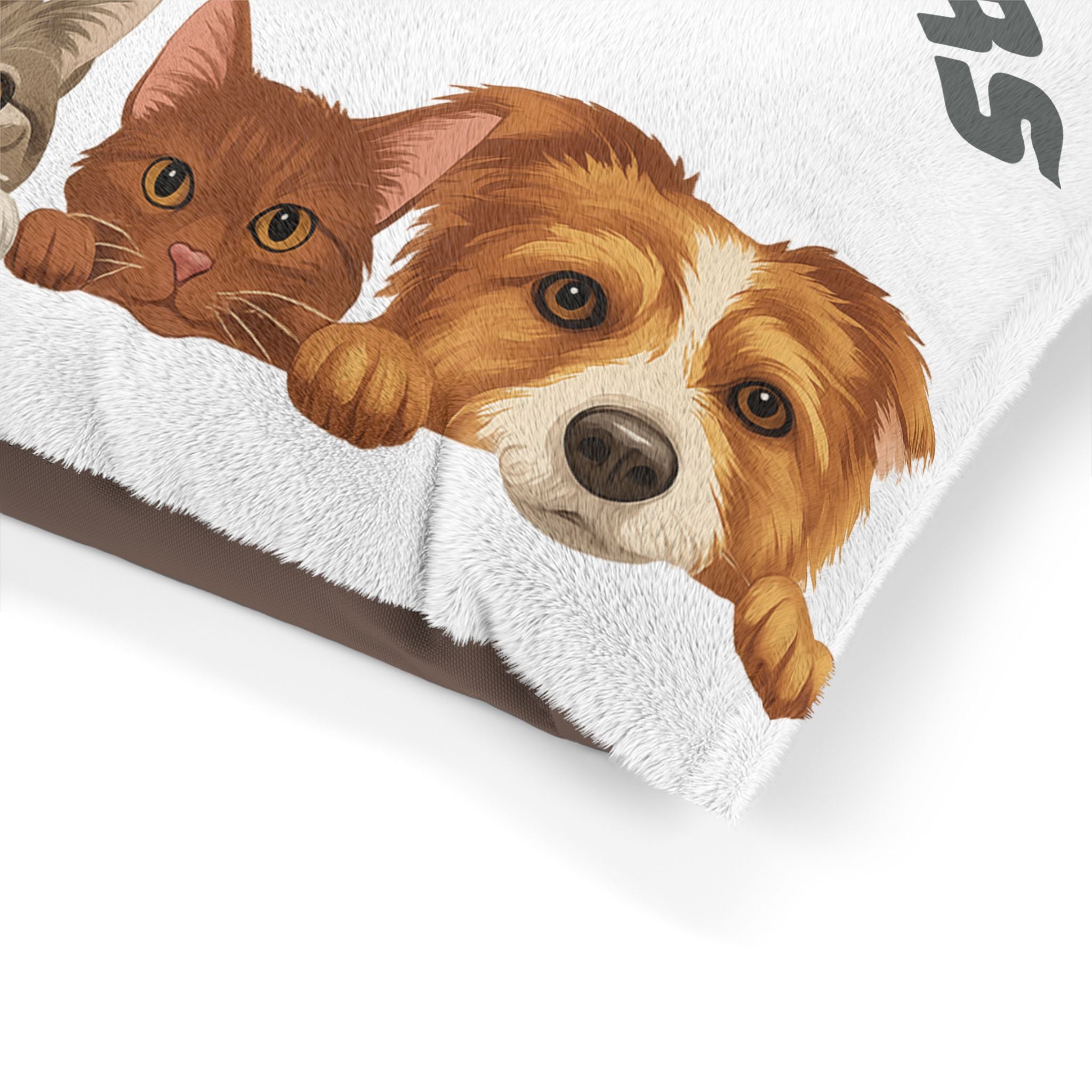 Paws and Prayers Cozy Pet Bed Inspirational Gift Today
