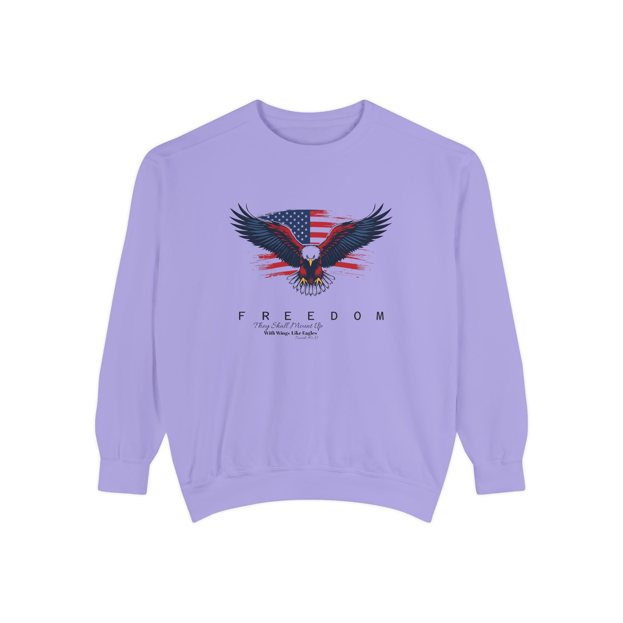 Freedom Eagle Sweatshirt Faith Apparel Inspirational Gift
